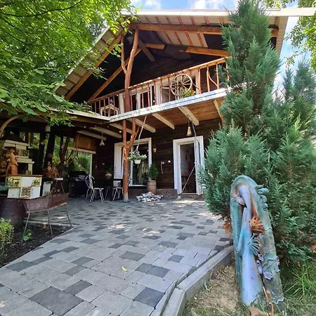 Holiday home хатка у долині Kosiv