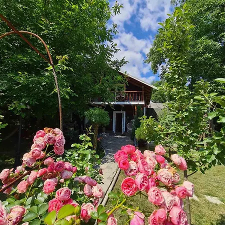 хатка у долині Holiday home Kosiv